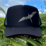 360 Creations-Product