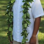 Cindys Lei Shoppe-Product
