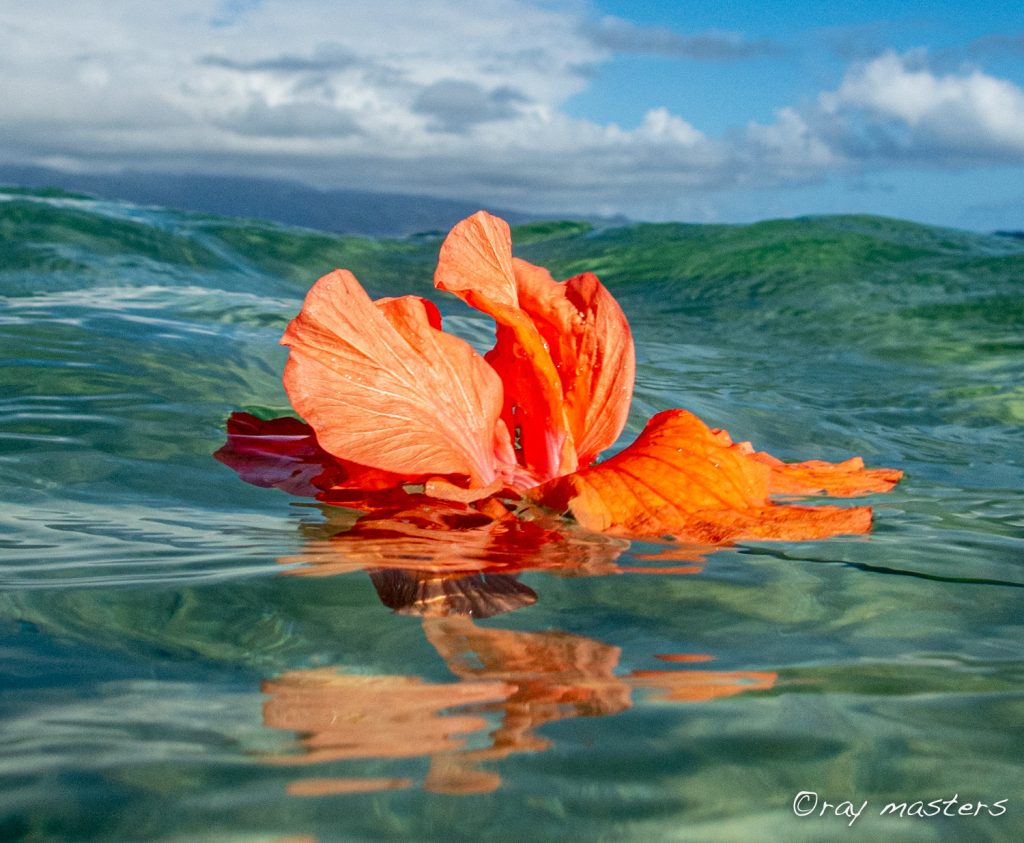 Ray Masters Productions