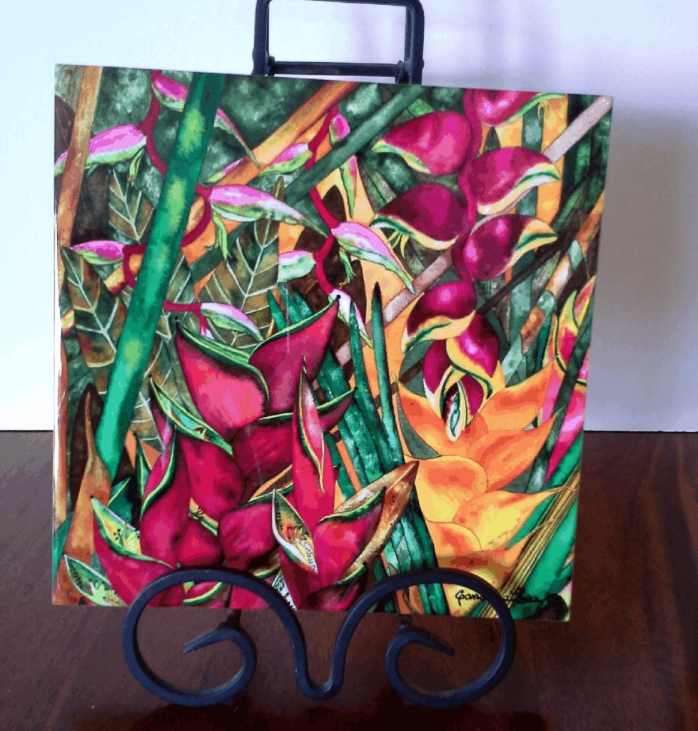 Visions of the Tropics Product