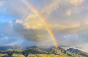 Hawaiian Rainbow Background Image